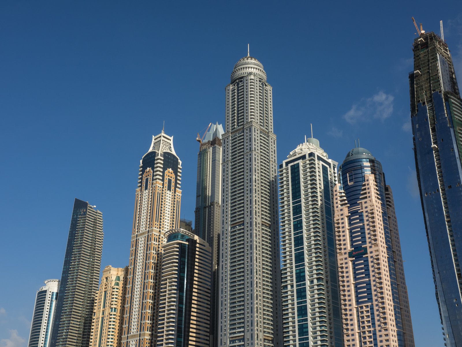 Types of Company in the UAE